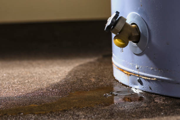 Best Residential water damage restoration  in Williams, AZ