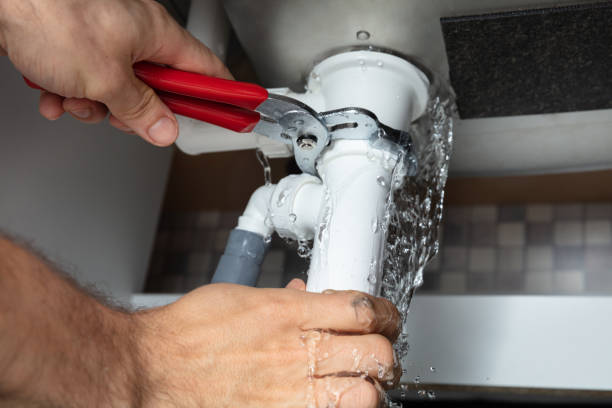  Williams, AZ Water damage restoration Pros