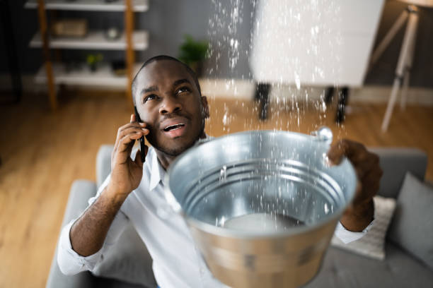 Water damage restoration mold remediation in Williams, AZ