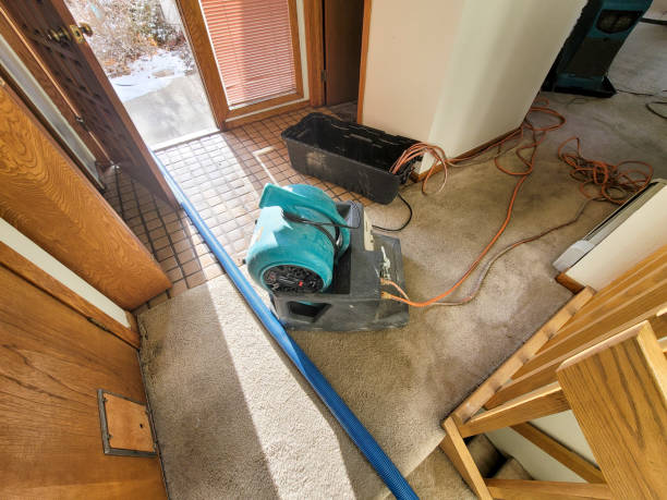 Best Emergency water extraction  in Williams, AZ
