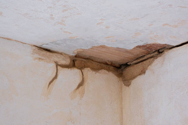 Best Sewage cleanup and water damage restoration  in Williams, AZ