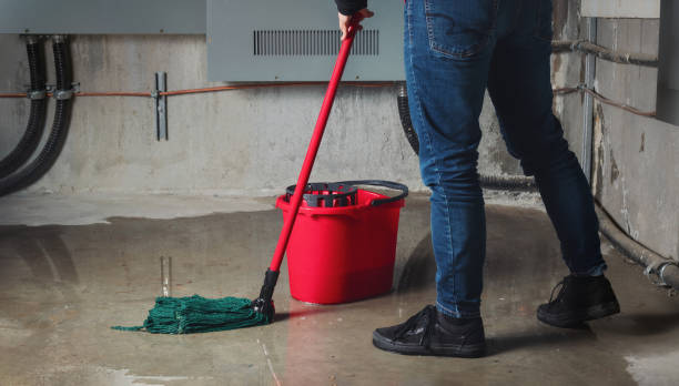 Fire Damage Restoration in Williams, AZ
