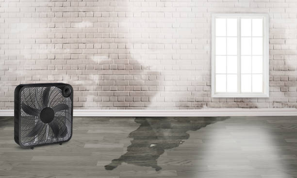 Local water damage restoration in Williams, AZ
