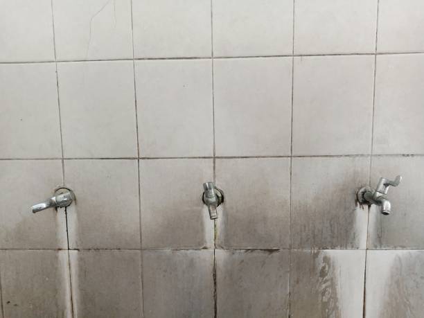 Best Water damage cleanup near me  in Williams, AZ