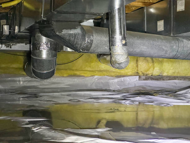 Best Water damage restoration specialists  in Williams, AZ