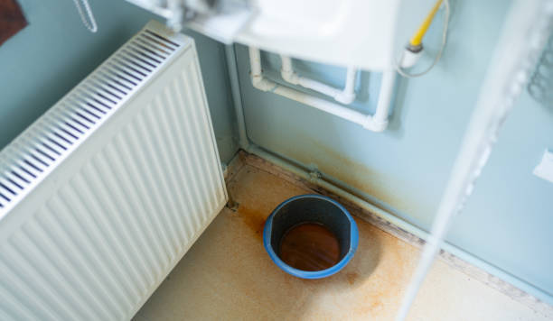 Best Water damage restoration mold remediation  in Williams, AZ