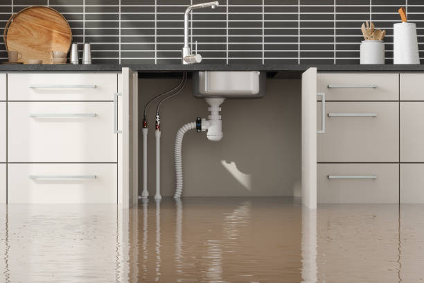 Best Professional water damage repair  in Williams, AZ