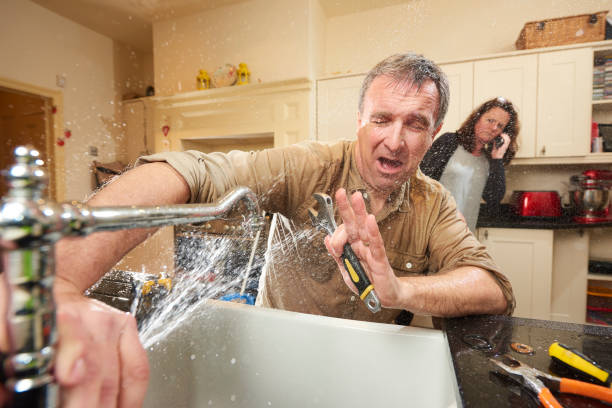 Best Fire Damage Restoration  in Williams, AZ
